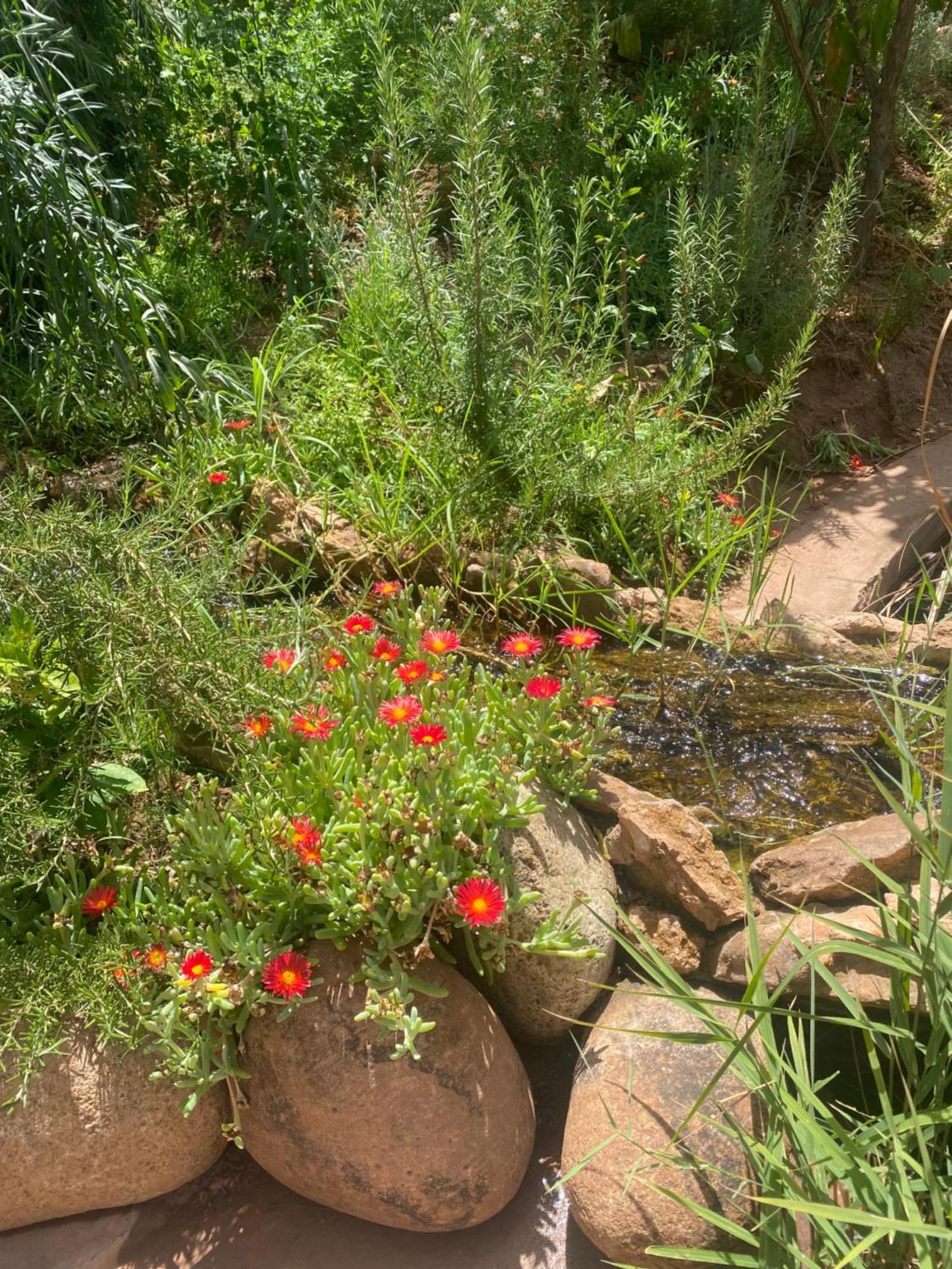 Oulad Moumene Jardin Sakina - Chambre D'Hotes מראה חיצוני תמונה