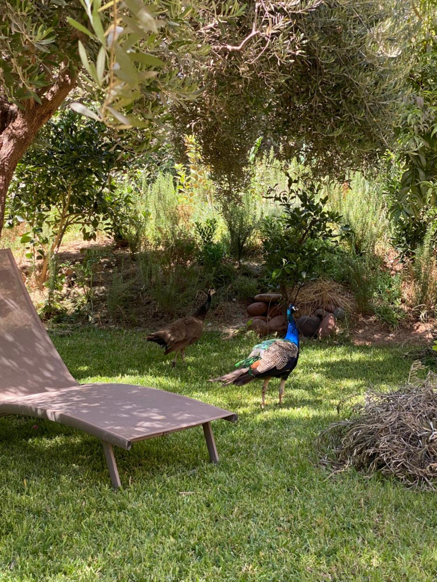 Oulad Moumene Jardin Sakina - Chambre D'Hotes מראה חיצוני תמונה