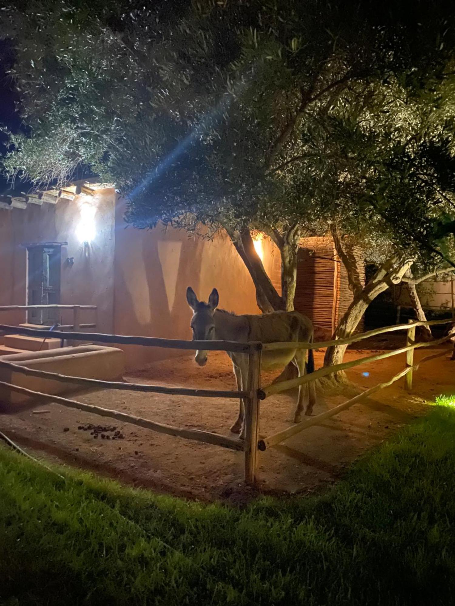 Oulad Moumene Jardin Sakina - Chambre D'Hotes מראה חיצוני תמונה